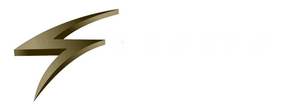 strike services logo
